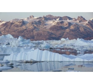 Таяние льда останавливает развитие флоры и фауны в Арктике