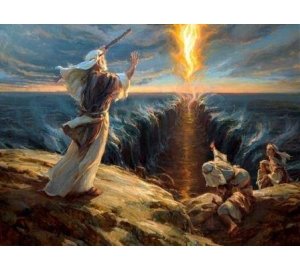 Физики посчитали, сколько мощности нужно, чтобы море расступилось перед Моисеем