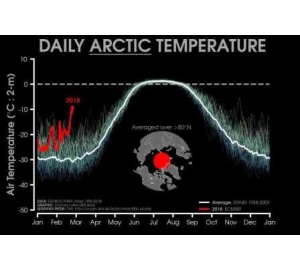 В Арктике зафиксировали аномально теплую зиму