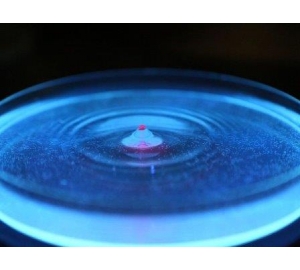 Биосенсоры на основе флуоресцентных белков смогут посекундно регистрировать процессы в организме