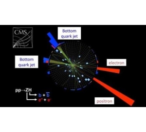 Обнаружен пятый тип распада бозона Хиггса на другие элементарные частицы