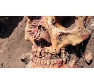 Древнейшая эпидемия чумы могла стать причиной гибели европейских культур неолита